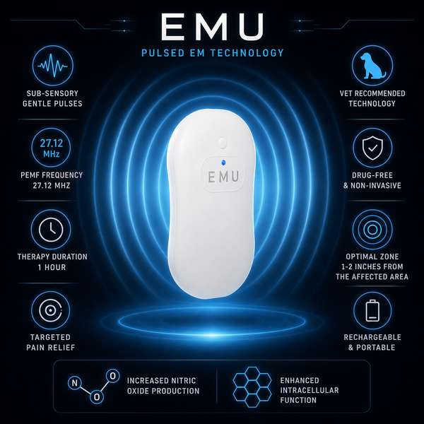 EMU Device System - EM Technology