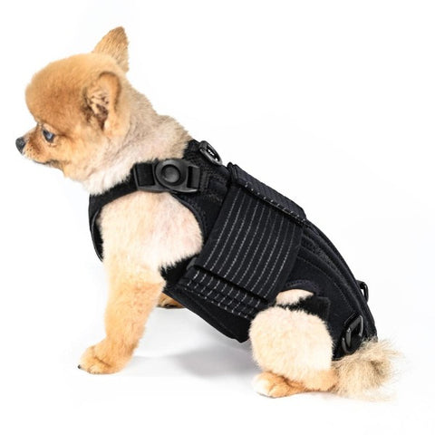 dog back brace