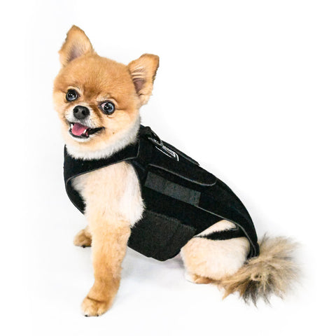L'il Back Bracer - Dog Back Brace